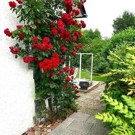 別荘 Ferienhaus Luneburger Heide Eschede
