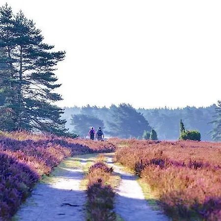 Ferienhaus Luneburger Heide 別荘