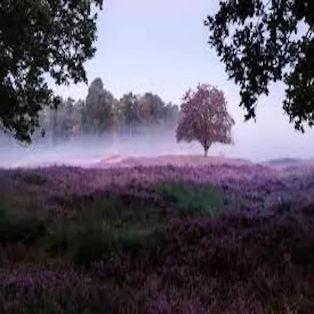 Ferienhaus Luneburger Heide 別荘