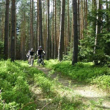 Ferienhaus Luneburger Heide 別荘 *