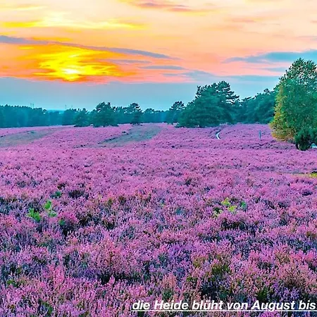 Ferienhaus Luneburger Heide *