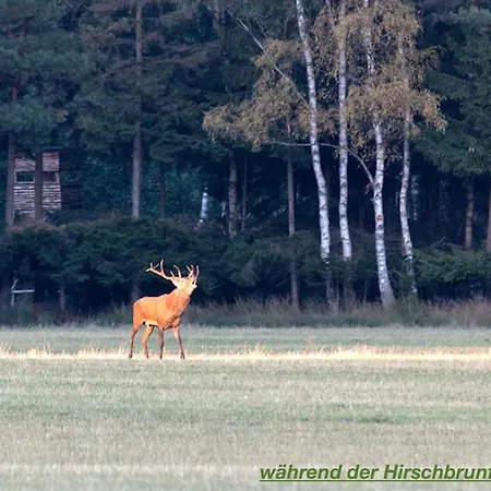 Ferienhaus Luneburger Heide 別荘 *