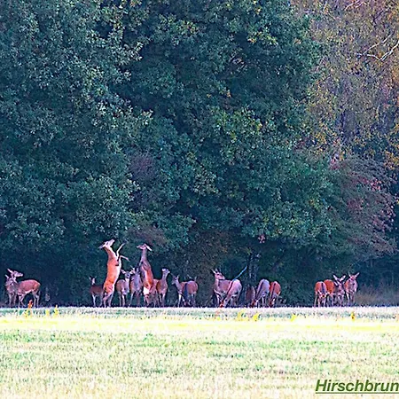 別荘 Ferienhaus Luneburger Heide *